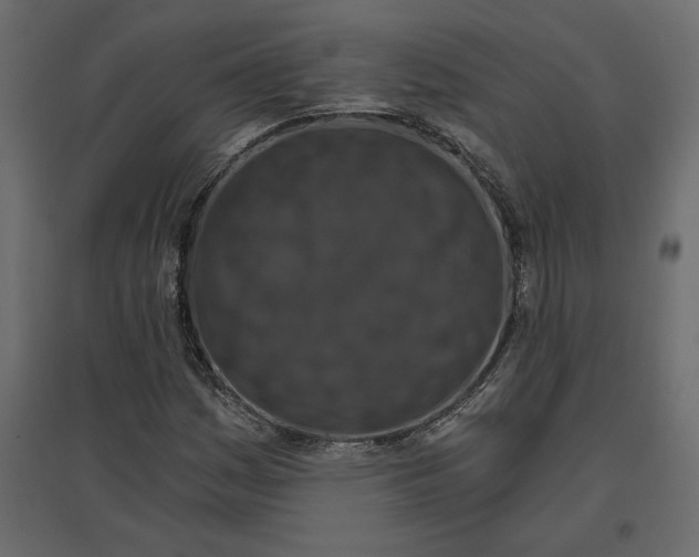 X0000096971161200803070959