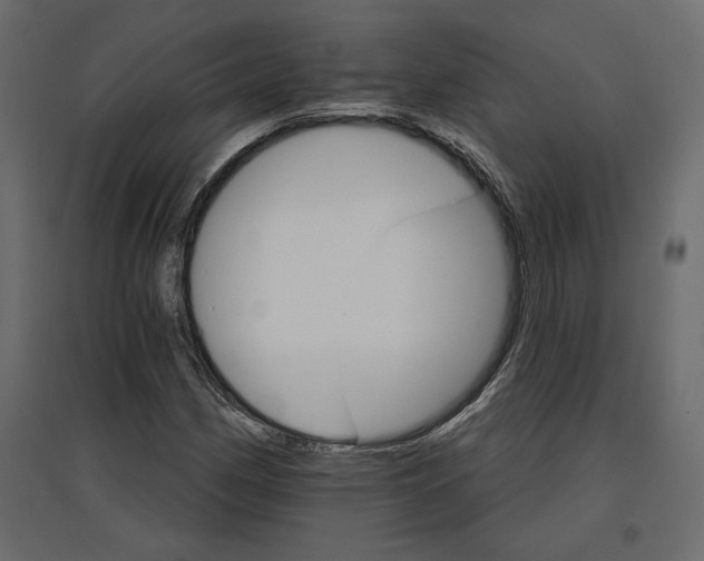 X0000096971162200803070959