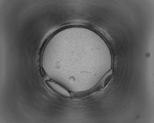 X0000096971164200803070959