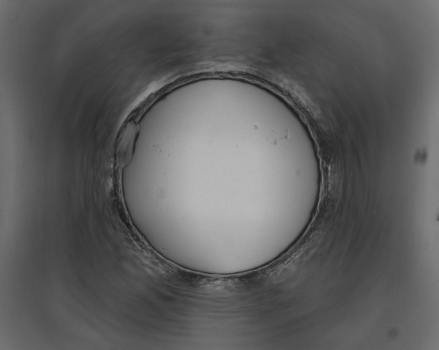 X0000096971165200803070959