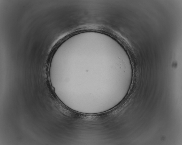 X0000096971166200803070959