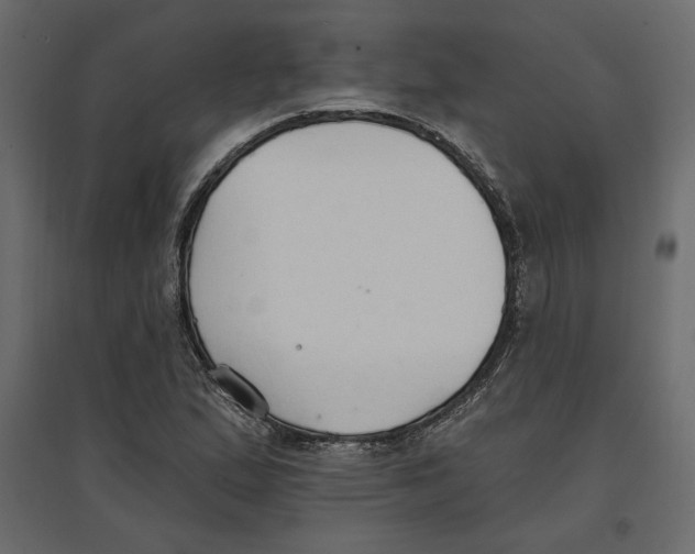 X0000096971167200803070959