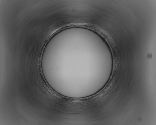 X0000096971169200803070959