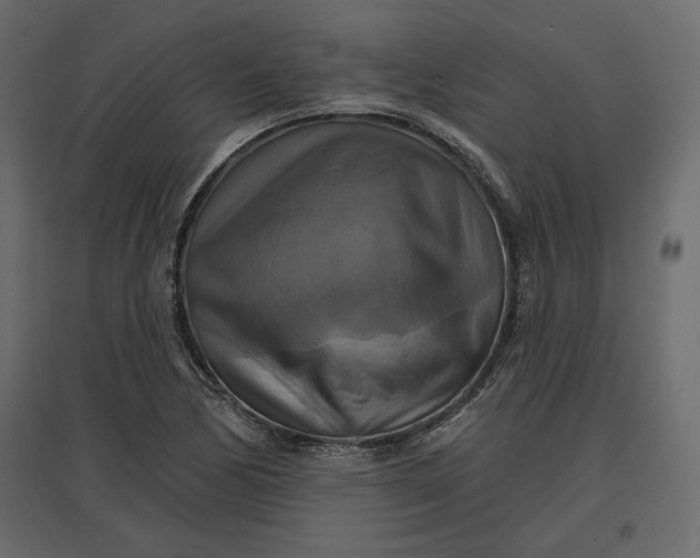 X0000096971170200803070959