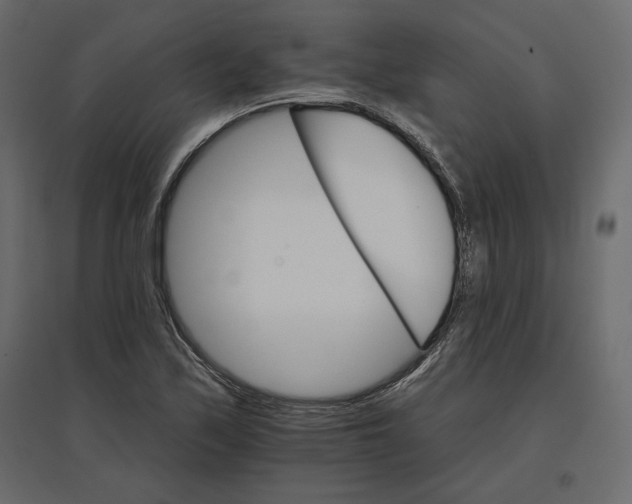 X0000096971171200803070959