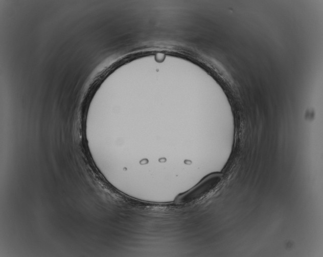 X0000096971172200803070959