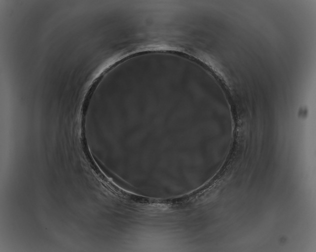 X0000096971173200803070959