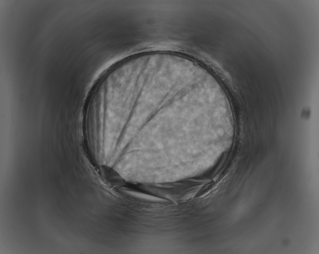 X0000096971174200803070959