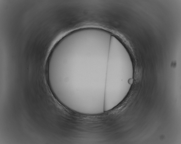 X0000096971175200803070959