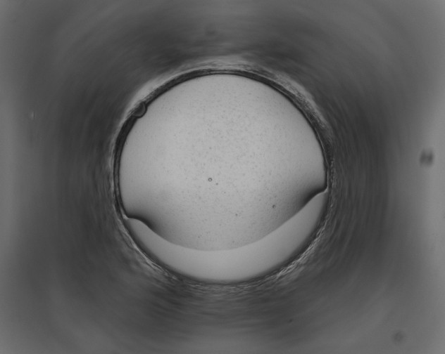 X0000096971176200803070959