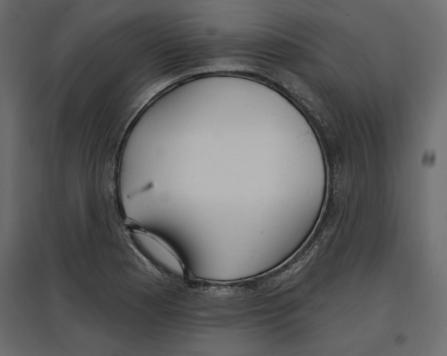 X0000096971177200803070959