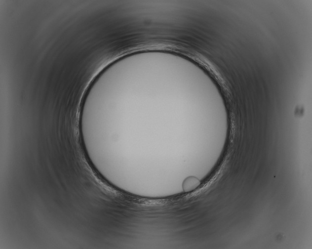 X0000096971178200803070959