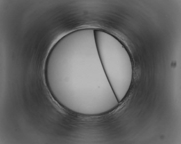 X0000096971179200803070959