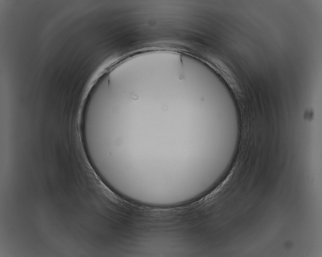 X0000096971180200803070959