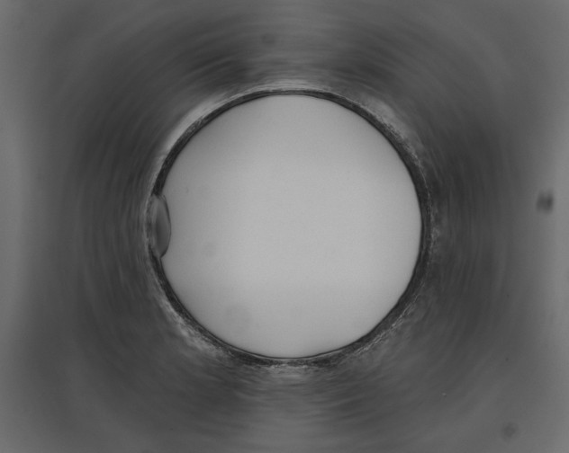 X0000096971181200803070959