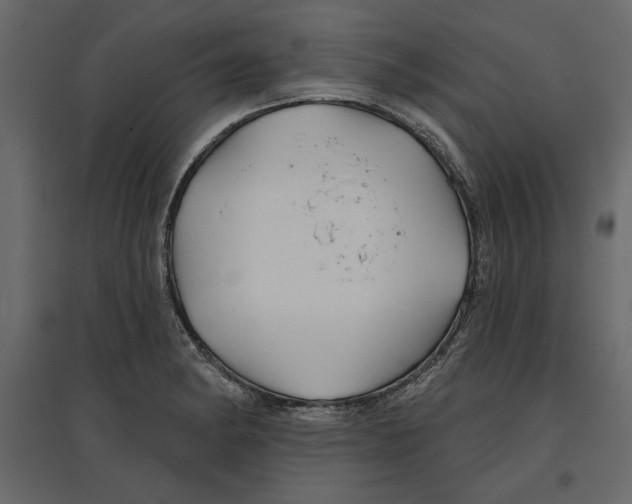 X0000096971182200803070959