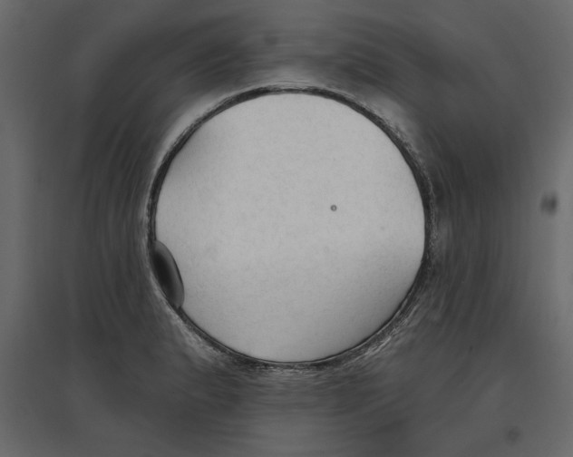 X0000096971183200803070959