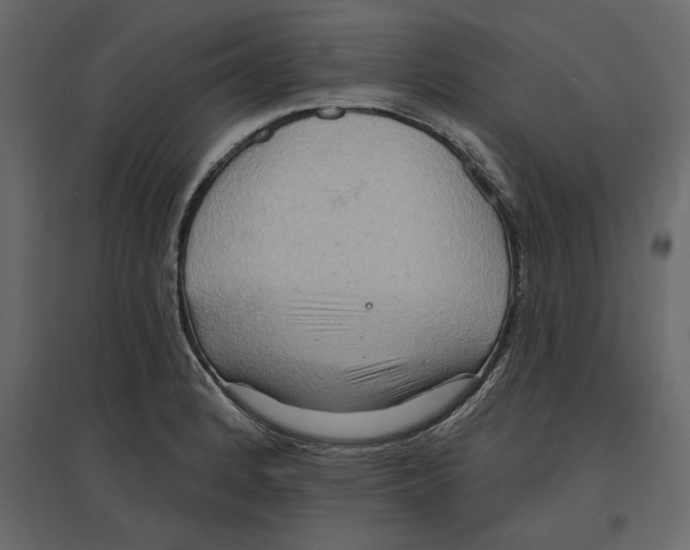 X0000096971184200803070959