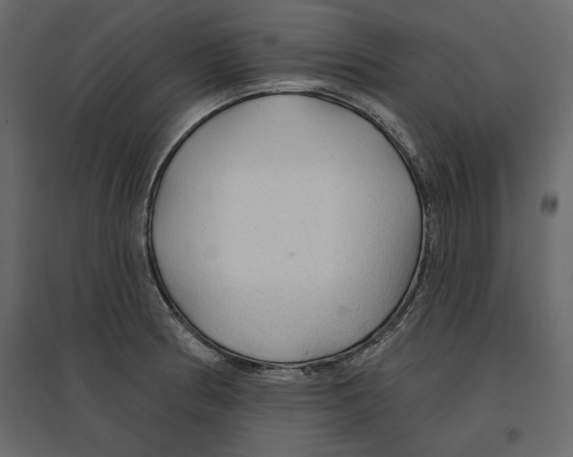 X0000096971186200803070959