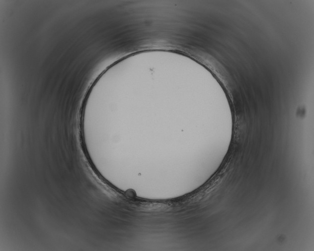 X0000096971187200803070959