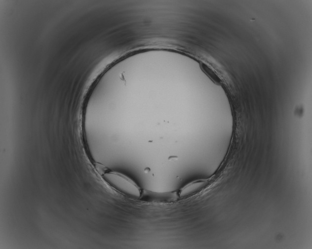 X0000096971188200803070959