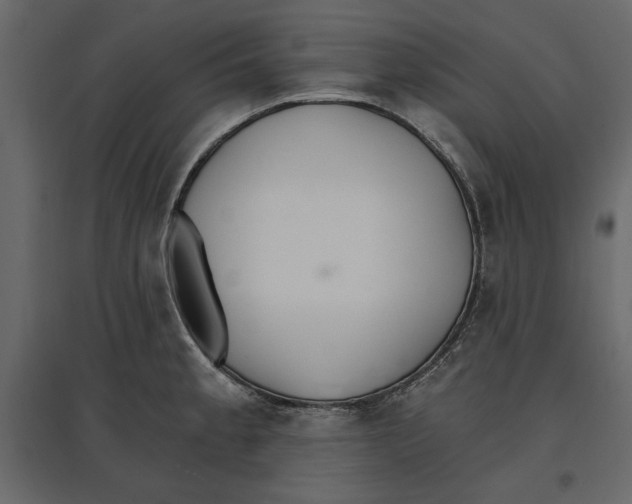 X0000096971189200803070959