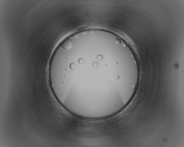 X0000096971190200803070959