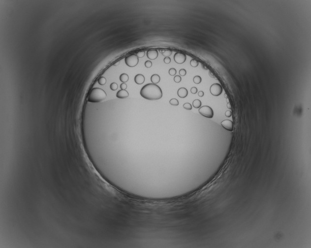 X0000096971191200803070959