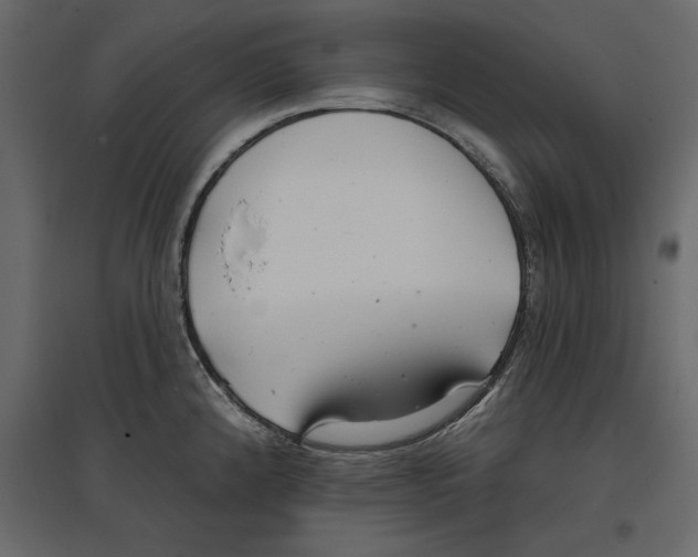 X0000096971192200803070959