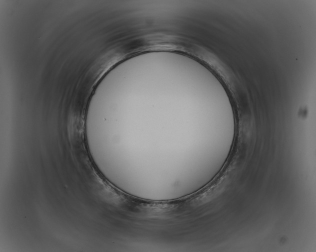 X0000096971193200803070959