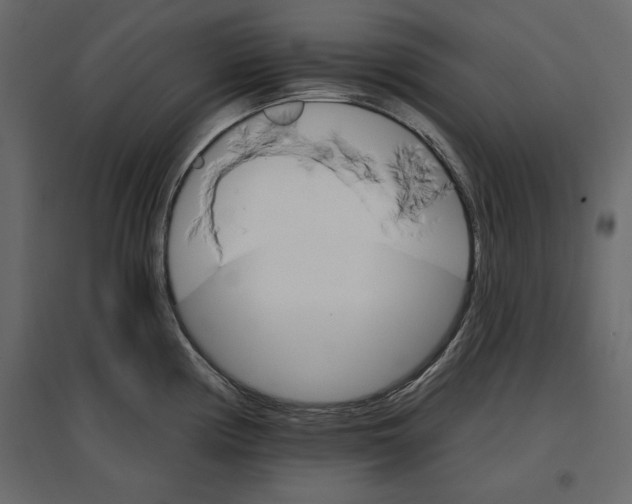 X0000096971194200803070959