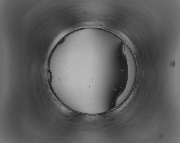 X0000096971196200803070959