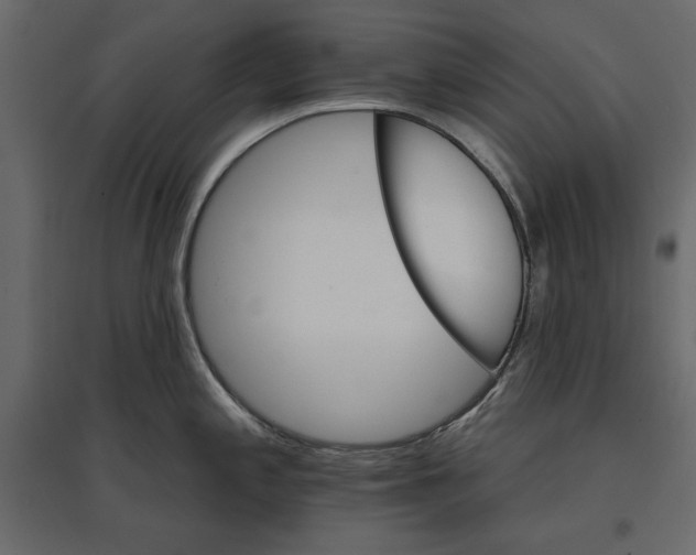 X0000096971197200803070959