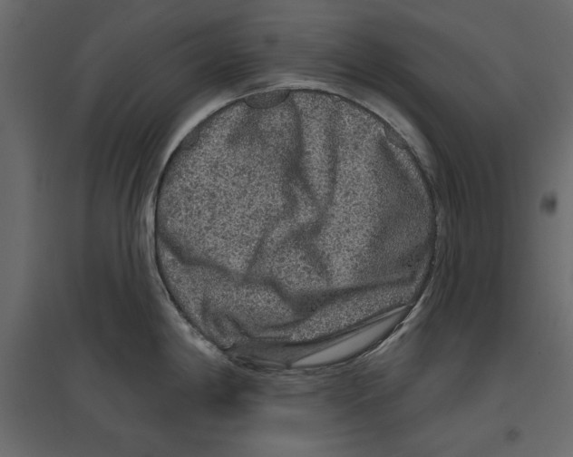 X0000096971198200803070959