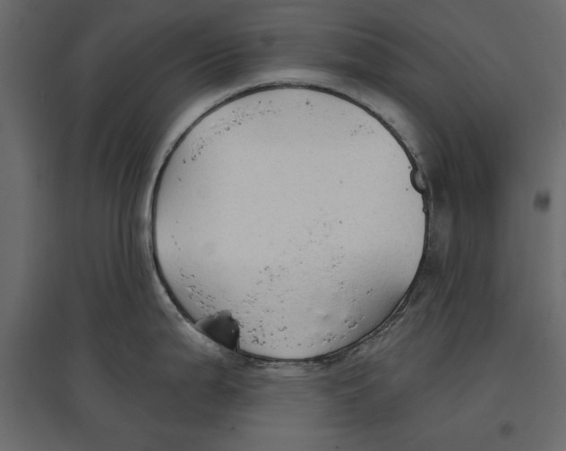 X0000096971199200803070959