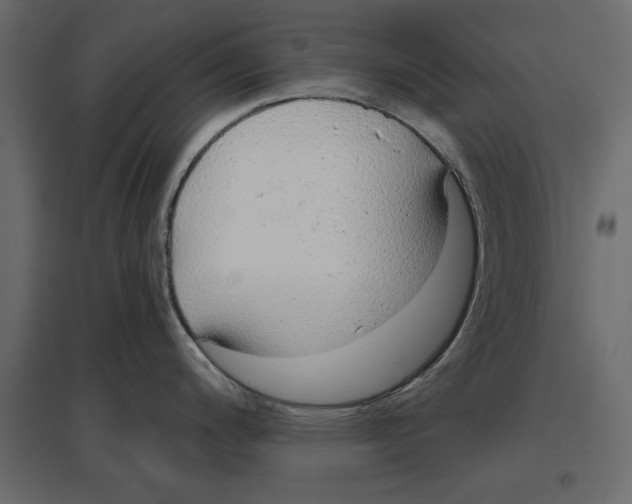 X0000096971200200803070959