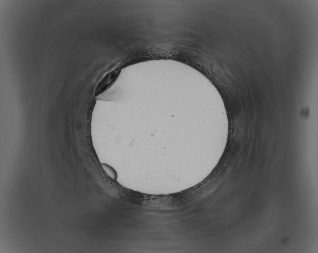 X0000096971201200803070958