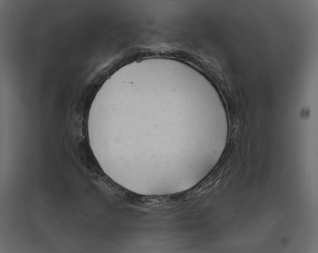 X0000096971205200803070958