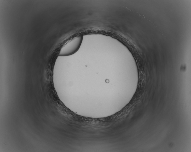 X0000096971207200803070958