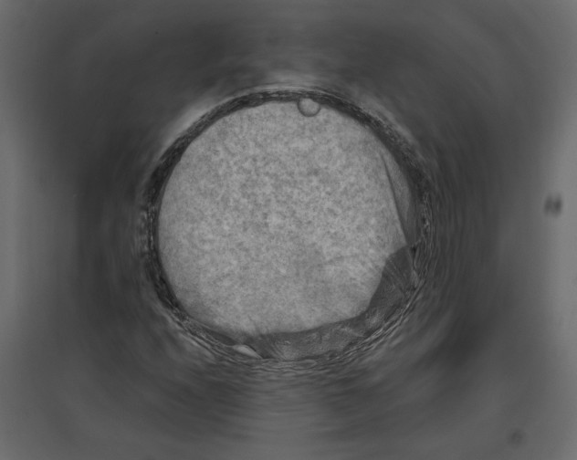 X0000096971208200803070958