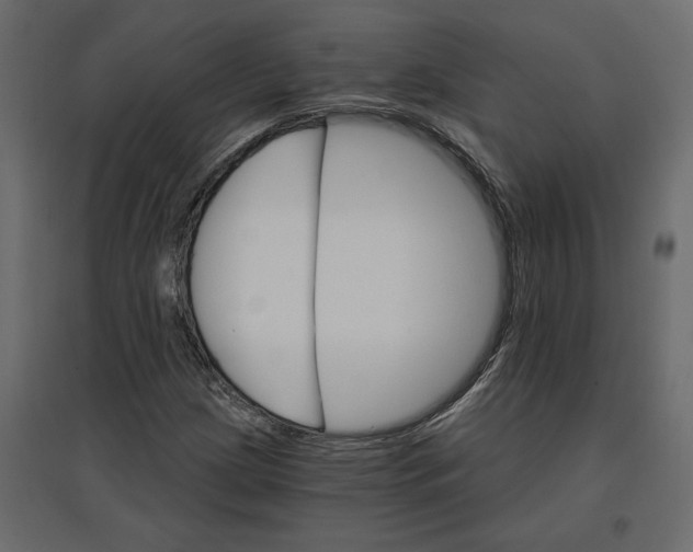 X0000096971209200803070958