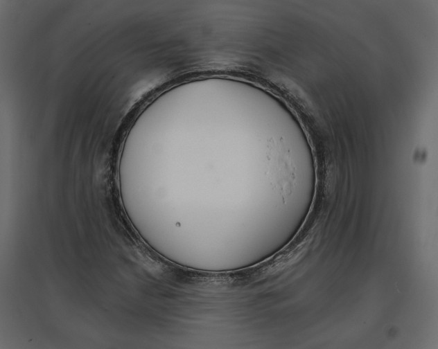 X0000096971210200803070958