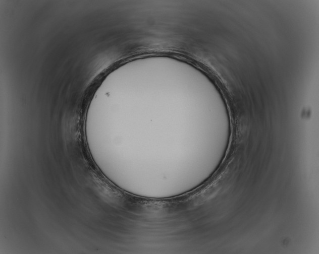 X0000096971211200803070958