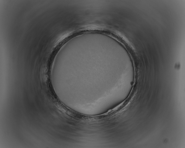 X0000096971213200803070958