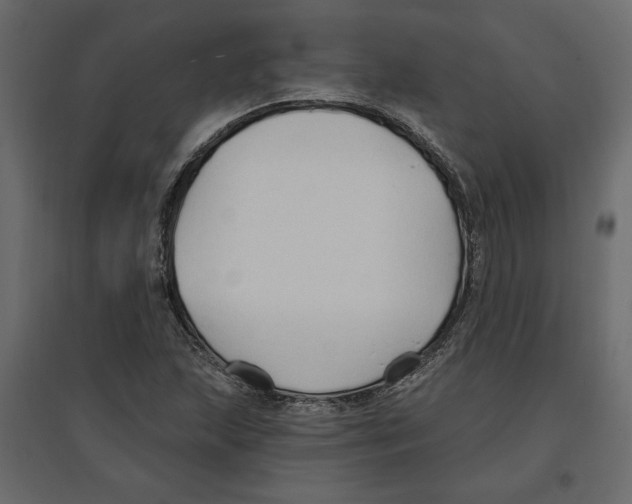 X0000096971215200803070958