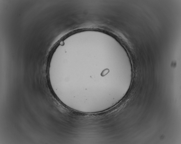 X0000096971216200803070958