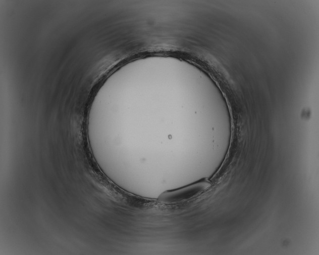 X0000096971217200803070958