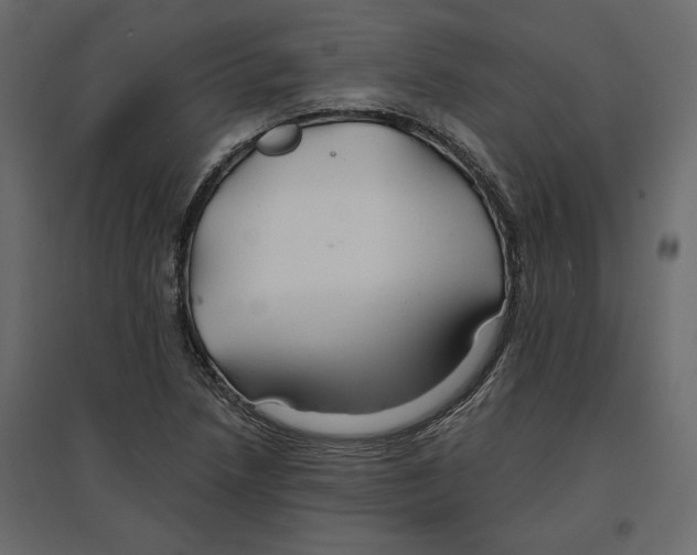 X0000096971218200803070958