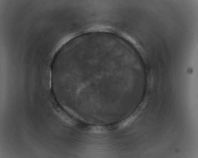 X0000096971219200803070958