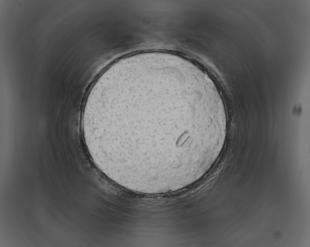 X0000096971220200803070958